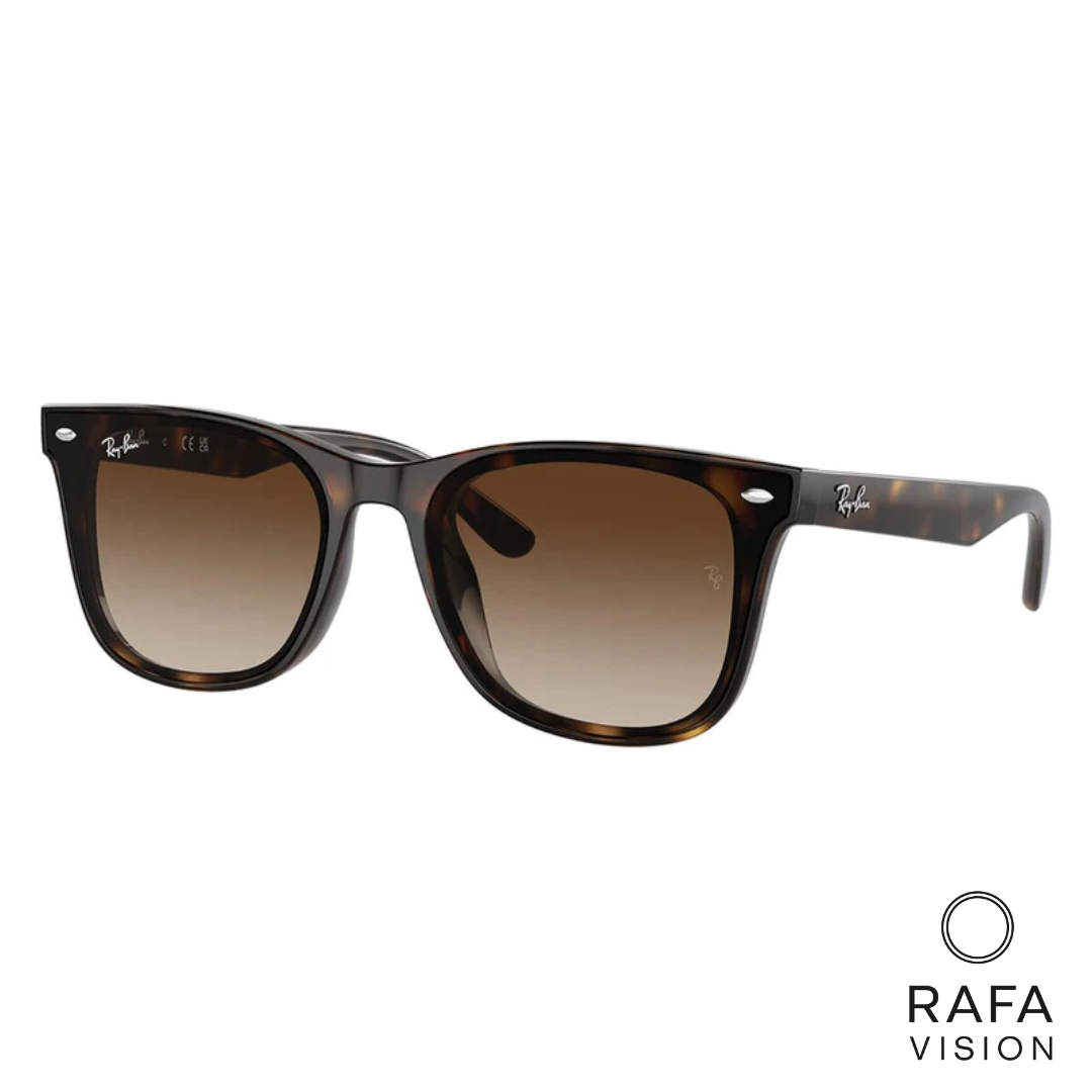 Blaze Wayfarer Carey